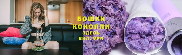 a pvp Белокуриха