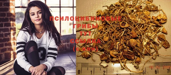 МДПВ Беломорск