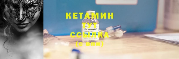 a pvp Белокуриха