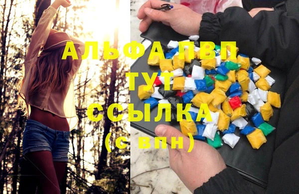 a pvp Белокуриха