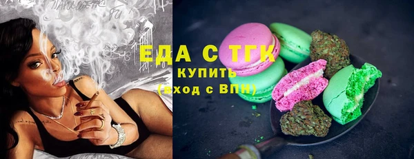 стаф Осинники