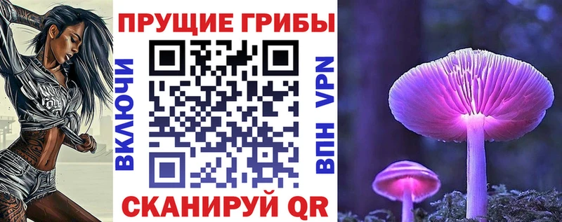 Галлюциногенные грибы Cubensis  Котово 